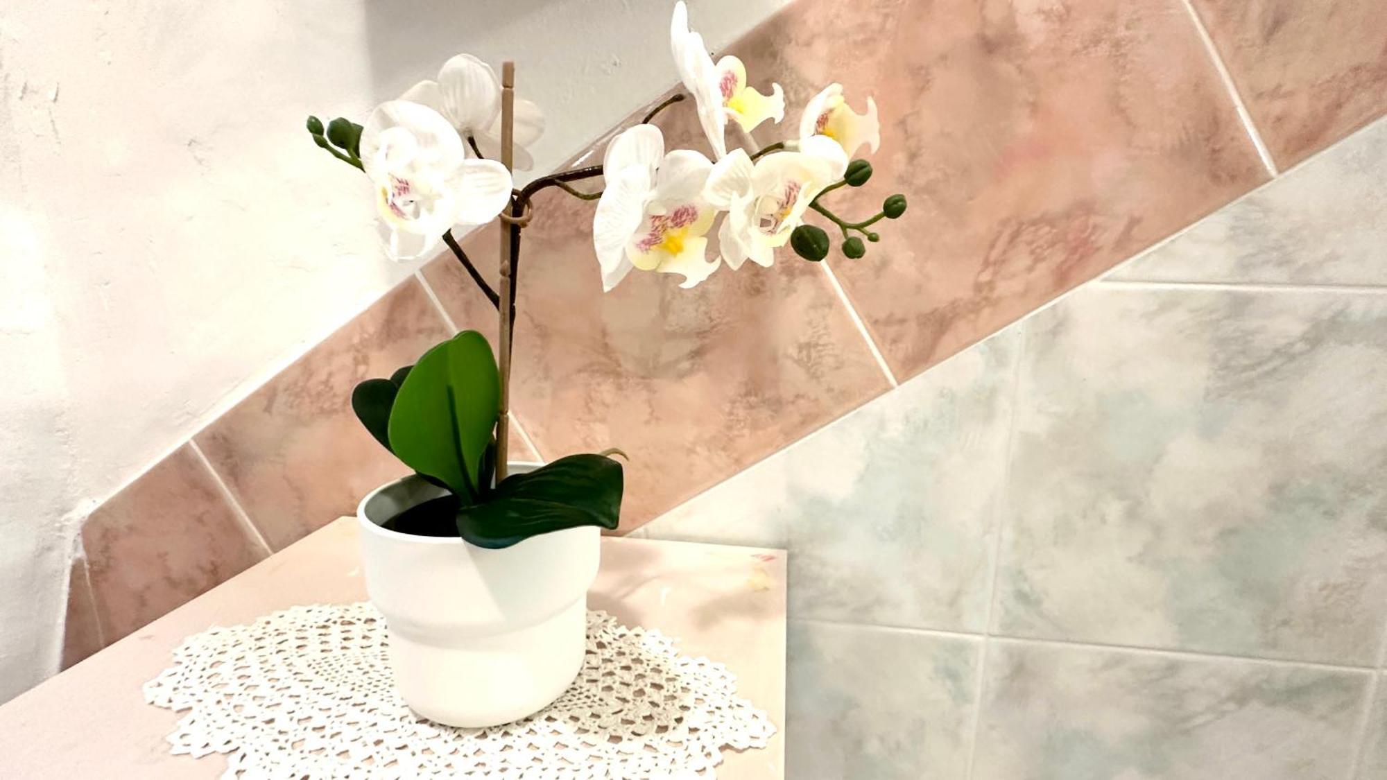 Amarin Pisa Apartment Zewnętrze zdjęcie